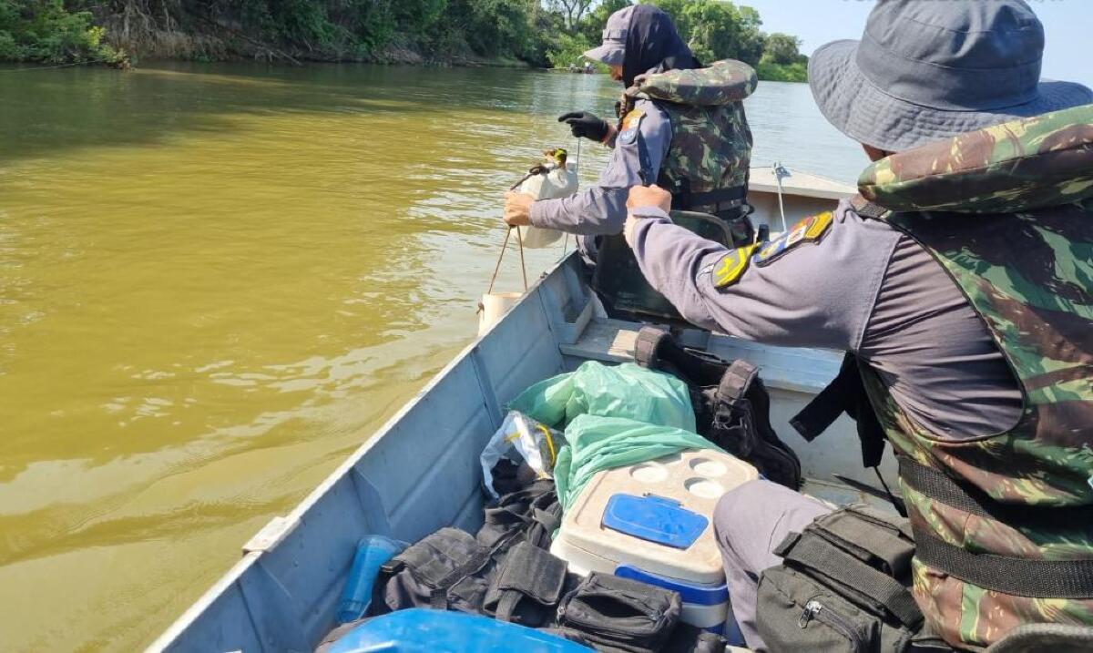 Folha Do Estado Sema Devolve Cerca De 600 Peixes Para Os Rios E