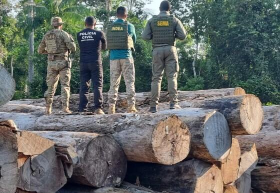 Amazônia ameaçada: Colniza, um retrato do desmatamento em Mato Grosso