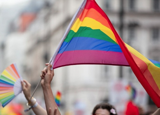 Movimento gay
