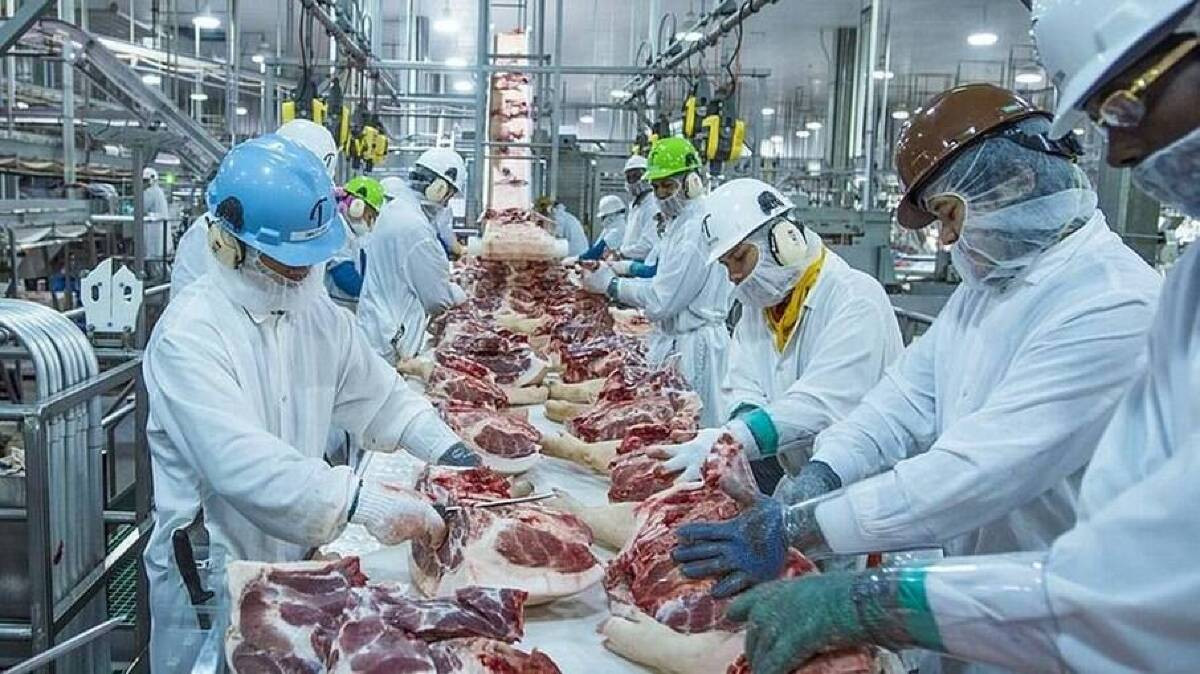 Exportações de carne bovina de MT atingem segundo maior volume da história em janeiro de 2024