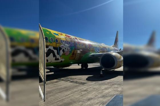 avião