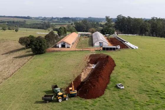 Escavadeira abre espaço para enterrar aves abatidas em granja de Montenegro, no Rio Grande do Sul, por causa do foco de gripe aviária identificado ali. 