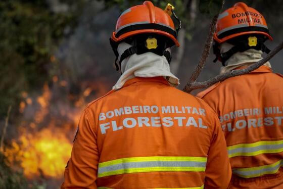 Bombeiro Florestal MT