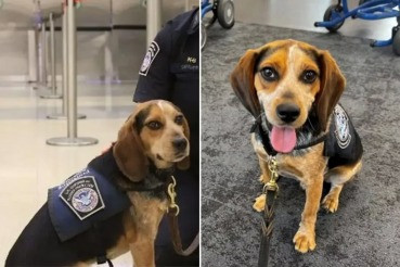 Facebook/CBP Office of Field Operations e U.S. Customs and Border Patrol