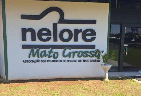 PECUÁRIA