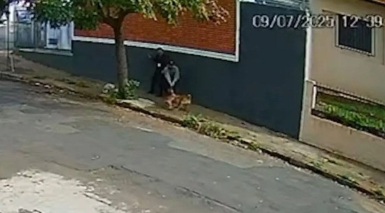 ATAQUE PITBULL CAPA