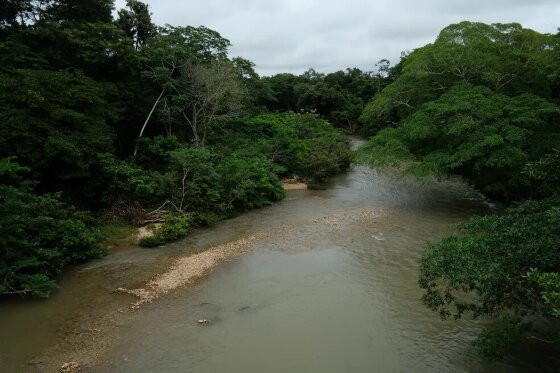 Rio Coxipó