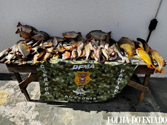 peixe apreendido