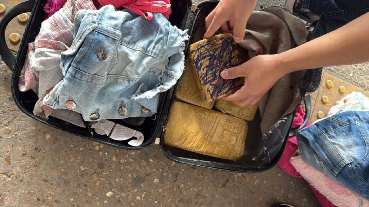 drogas 